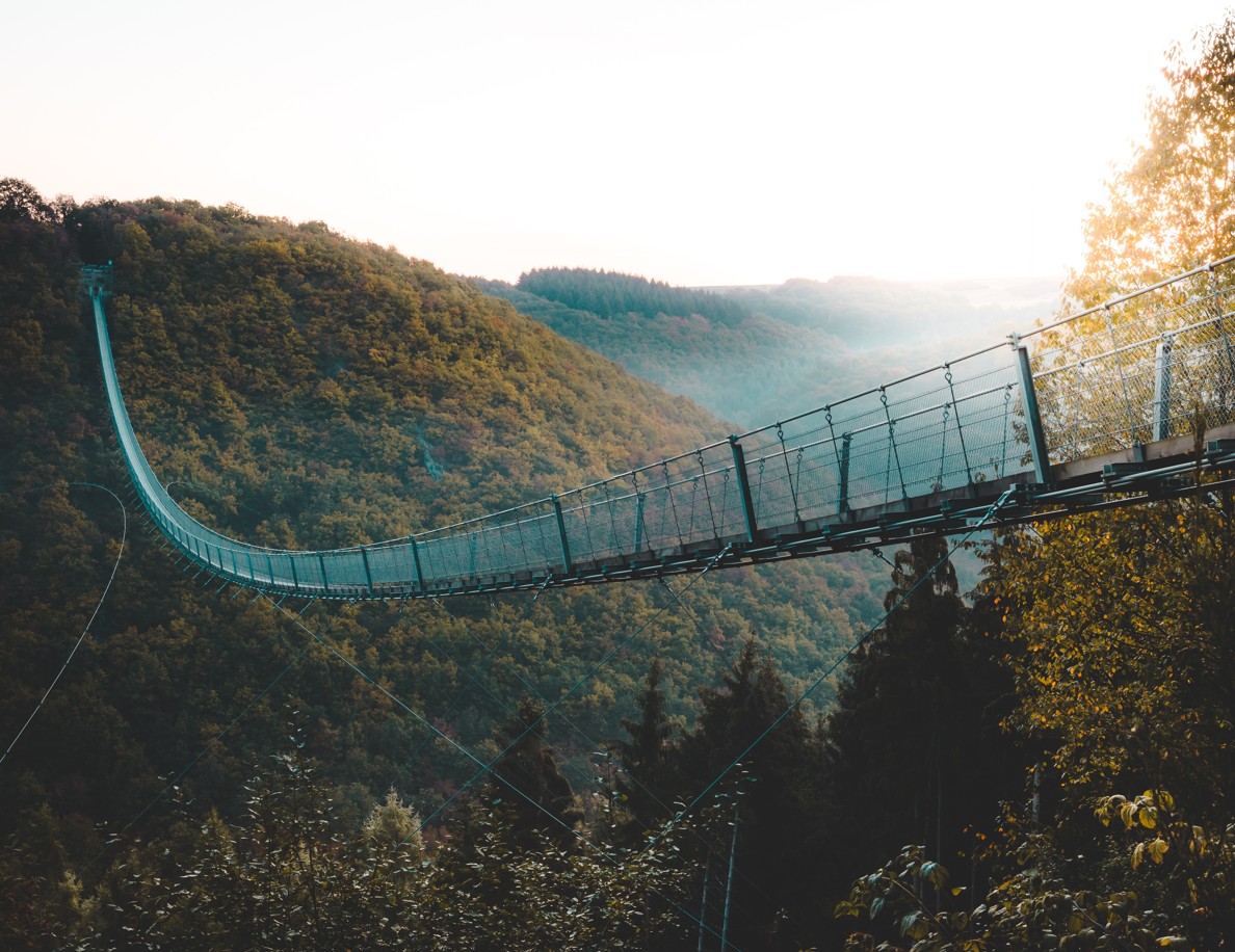„Ein fröhlicher brauner Hund mit grünem Geschirr läuft auf einem Waldweg auf die Kamera zu. Im Hintergrund wandern mehrere Menschen, darunter zwei Kinder und eine Frau, durch den sonnendurchfluteten Wald. Alle wirken entspannt und genießen die Natur.“